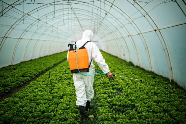 Professional Pest Control in Emerald Bay, TX