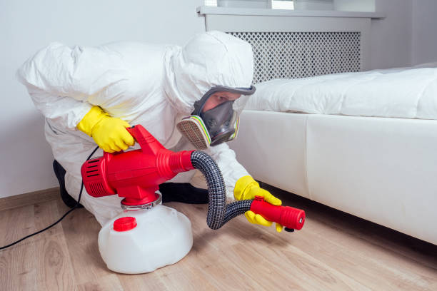 Best Emergency Pest Control  in Emerald Bay, TX