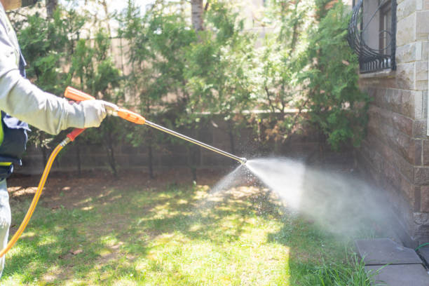 Best Residential Pest Control  in Emerald Bay, TX