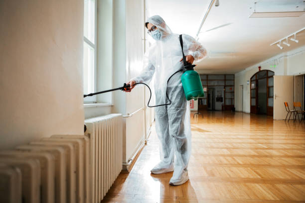 Best Rat Extermination Near Me  in Emerald Bay, TX
