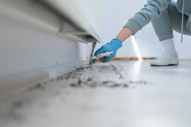 Best Cockroach Control Services  in Emerald Bay, TX